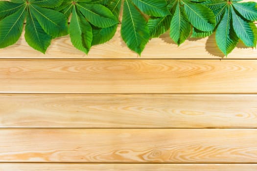 chestnut leaves on a wooden background top view. High quality photo