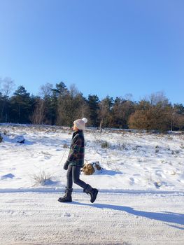 Sallandse Heuvelrug natural park snow covered during winter weather in the Netherlands by Holterberg Holten Overijssel Holland, woman walking in the snow during winter