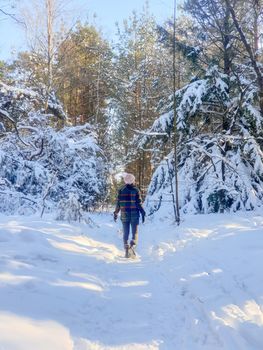 Sallandse Heuvelrug natural park snow covered during winter weather in the Netherlands by Holterberg Holten Overijssel Holland, woman walking in the snow during winter