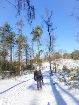 Sallandse Heuvelrug natural park snow covered during winter weather in the Netherlands by Holterberg Holten Overijssel Holland, man walking in the snow hiking in nature