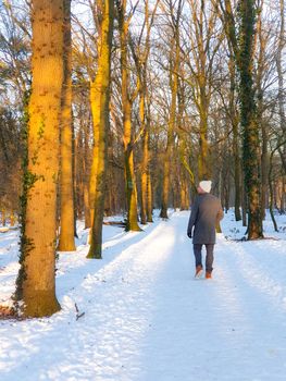 Sallandse Heuvelrug natural park snow covered during winter weather in the Netherlands by Holterberg Holten Overijssel Holland, man walking in the snow hiking in nature