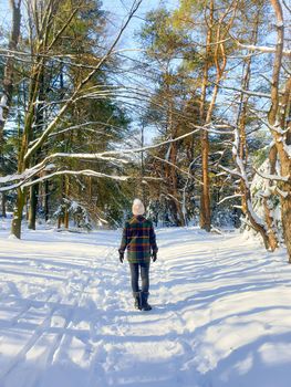 Sallandse Heuvelrug natural park snow covered during winter weather in the Netherlands by Holterberg Holten Overijssel Holland, woman walking in the snow during winter