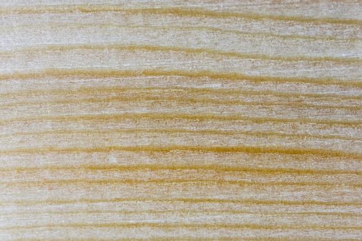 wooden colorful background close up. High quality photo