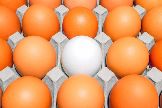 tray with chicken eggs on the whole frame as a background. High quality photo