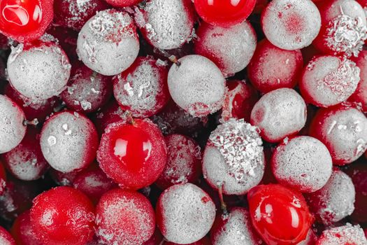 red viburnum berries frozen for the entire frame macro . High quality photo