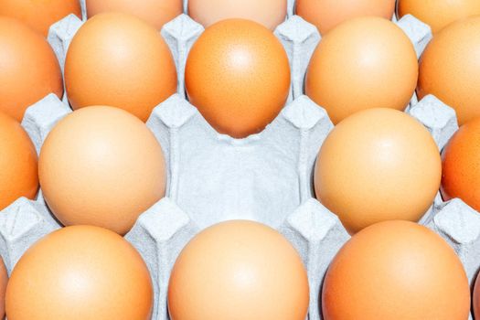 tray with chicken eggs on the whole frame as a background. High quality photo