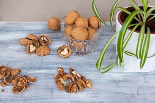 Walnuts on a painted background. Crystal bowl with nuts. Useful products. Walnuts.