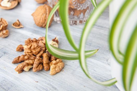 Walnuts on a painted background. Crystal bowl with nuts. Useful products. Walnuts.