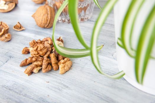 Walnuts on a painted background. Crystal bowl with nuts. Useful products. Walnuts.