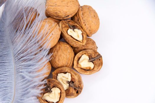 Walnuts in a shell on a white background. Healthy nuts. Walnuts. 