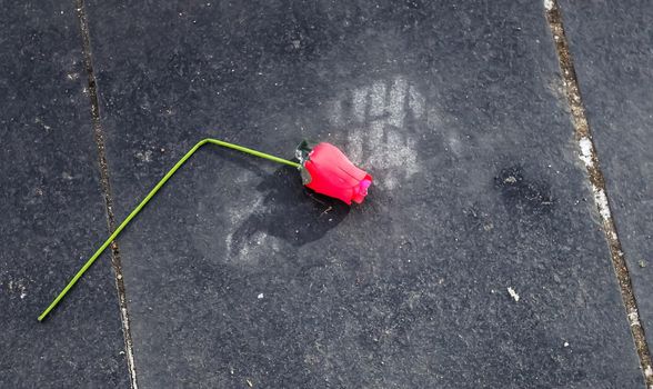 Broken valentine rose lying on a cold stone ground