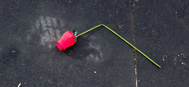 Broken valentine rose lying on a cold stone ground