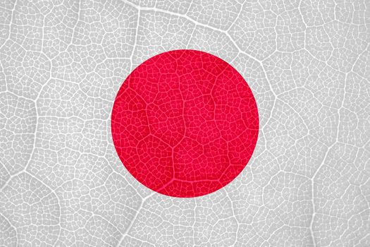 flag of Japan on the structure of a tree leaf macro. High quality photo