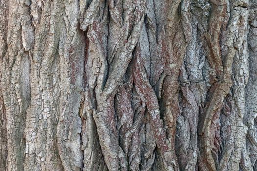 wooden colorful background close up. High quality photo