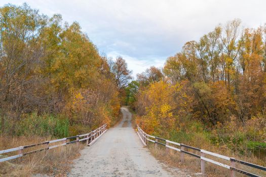 road in the autumn forest as a background. High quality photo