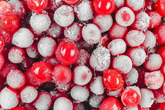 frozen viburnum berries close up as background. High quality photo