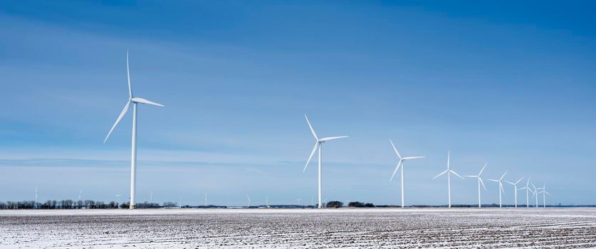 snow covered fields and wind turbines in dutch polder of flevoland under blue sky in winter