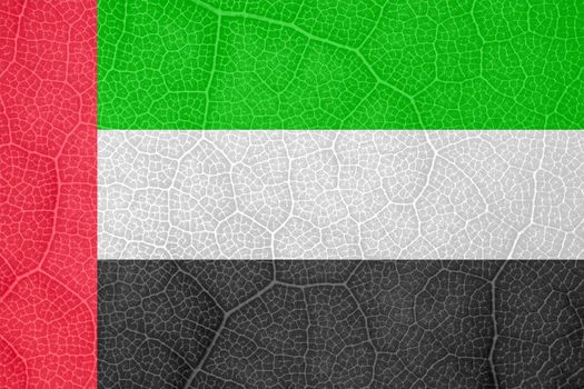 flag of the United Arab Emirates on the structure of a tree leaf macro. High quality photo