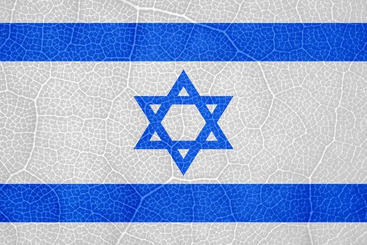 flag of Israel on the structure of a tree leaf macro. High quality photo