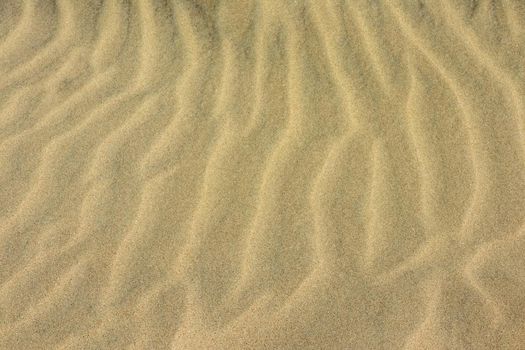 Sand on the beach as background. Dune sand. High quality photo
