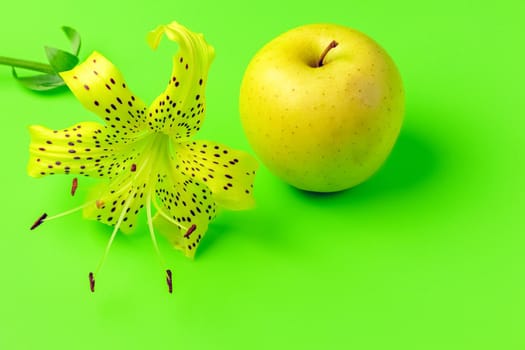 tiger Lily and Apple on a green background close-up. isolate. High quality photo