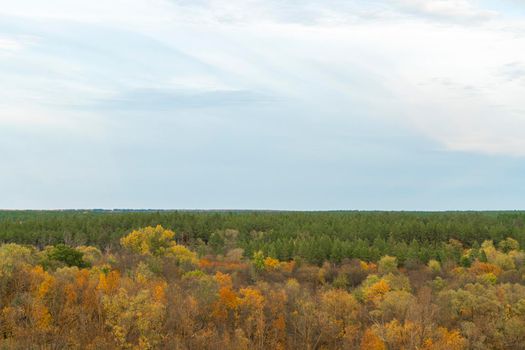 autumn forest landscape with blue sky background. High quality photo
