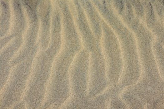Sand on the beach as background. Dune sand. High quality photo