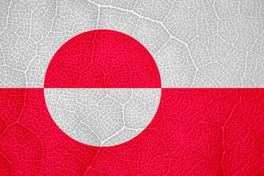 flag of Greenland on the structure of a tree leaf macro. High quality photo