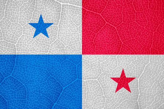 flag of Panama on the structure of a tree leaf macro. High quality photo