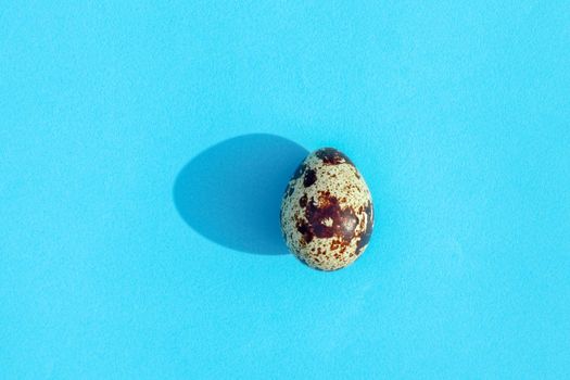 egg with a hard shadow in the top view pattern. High quality photo