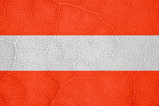 flag of Austria on the structure of a tree leaf macro. High quality photo