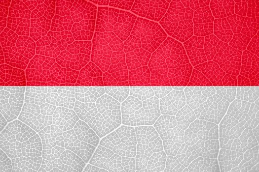 flag of Monaco on the structure of a tree leaf macro. High quality photo