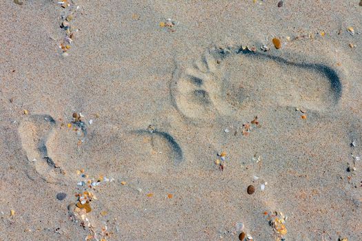 footprints on the beach dune sand as a background. High quality photo