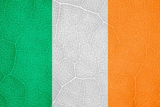 flag of Ireland on the structure of a tree leaf macro. High quality photo