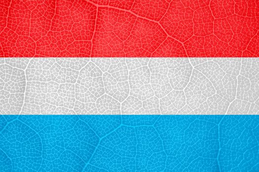 the flag of Luxembourg on the structure of a tree leaf macro. High quality photo