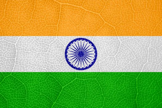 flag of India on the structure of a tree leaf macro. High quality photo