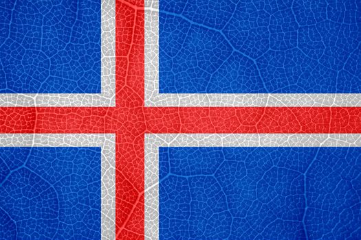 flag of Iceland on the structure of a tree leaf macro. High quality photo