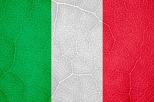 flag of Italy on the structure of a tree leaf macro. High quality photo
