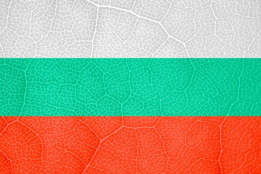 flag of Bulgaria on the structure of a tree leaf macro. High quality photo