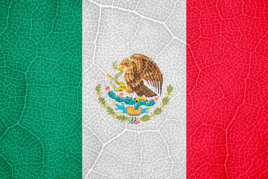 flag of Mexico on the structure of a tree leaf macro. High quality photo