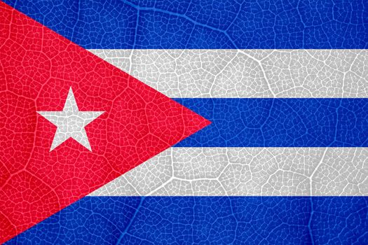 flag of Cuba on the structure of a tree leaf macro. High quality photo