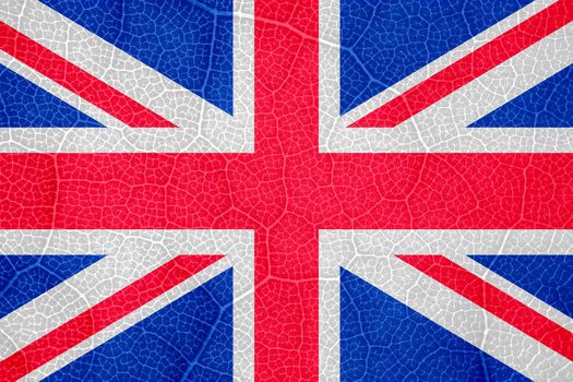 flag of great Britain on the structure of a tree leaf macro. High quality photo