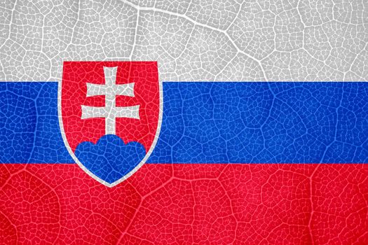 flag of Slovakia on the structure of a tree leaf macro. High quality photo