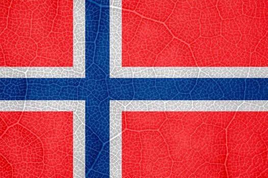 flag of Norway on the structure of a tree leaf macro. High quality photo