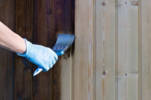Painting a wooden wall with brown paint with a brush.