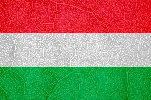 flag of Hungary on the structure of a tree leaf macro. High quality photo