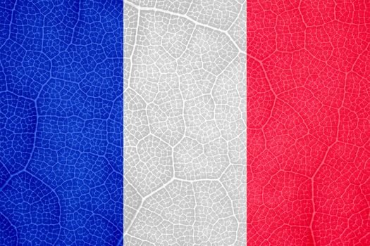 flag of France on the structure of a tree leaf macro. High quality photo