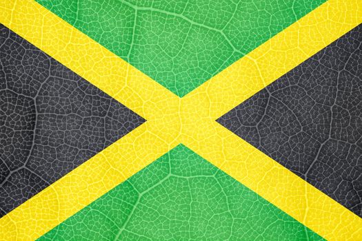 flag of Jamaica on the structure of a tree leaf macro. High quality photo