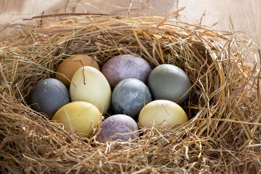 Easter composition - colorful Easter eggs painted with natural dyes in a nest of hay.