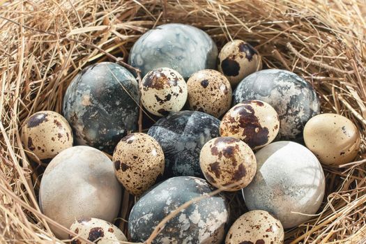 Easter composition - beige and blue marble Easter eggs painted with natural dyes in a nest of hay.
